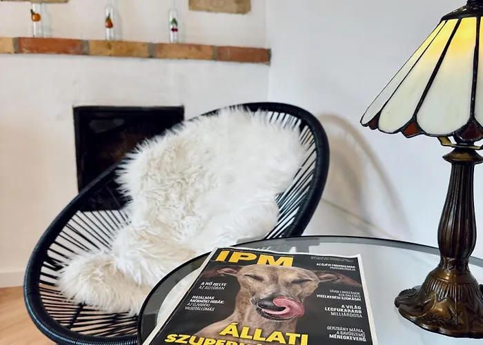 Csodakertes Kishaz Balatonfuzfon 別荘 *